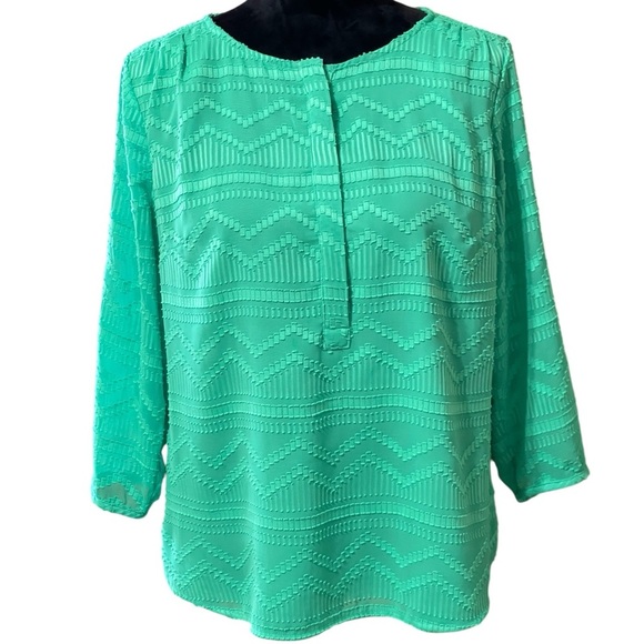 TALBOTS MINT GREEN CHIFFON TEXTURED BLOUSE SZ LP - Picture 2 of 10